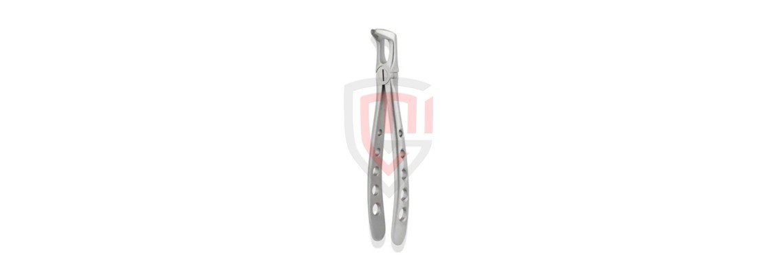 Top 10 Essential Dental Surgical Instruments Every Dentist Needs in 2025