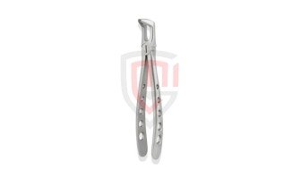 Top 10 Essential Dental Surgical Instruments Every Dentist Needs in 2025
