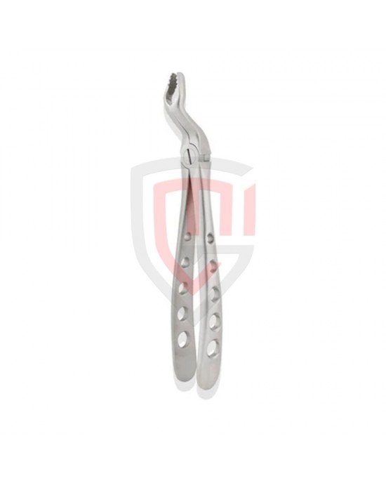 Extraction Forceps