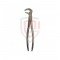 Extraction Forceps