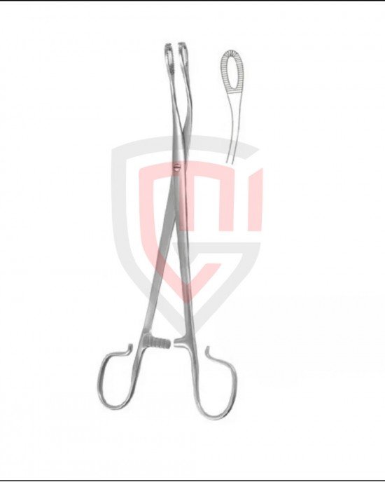 BLOHMKE TONSIL FORCEPS 20CM