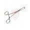 Allis Tissue Forceps